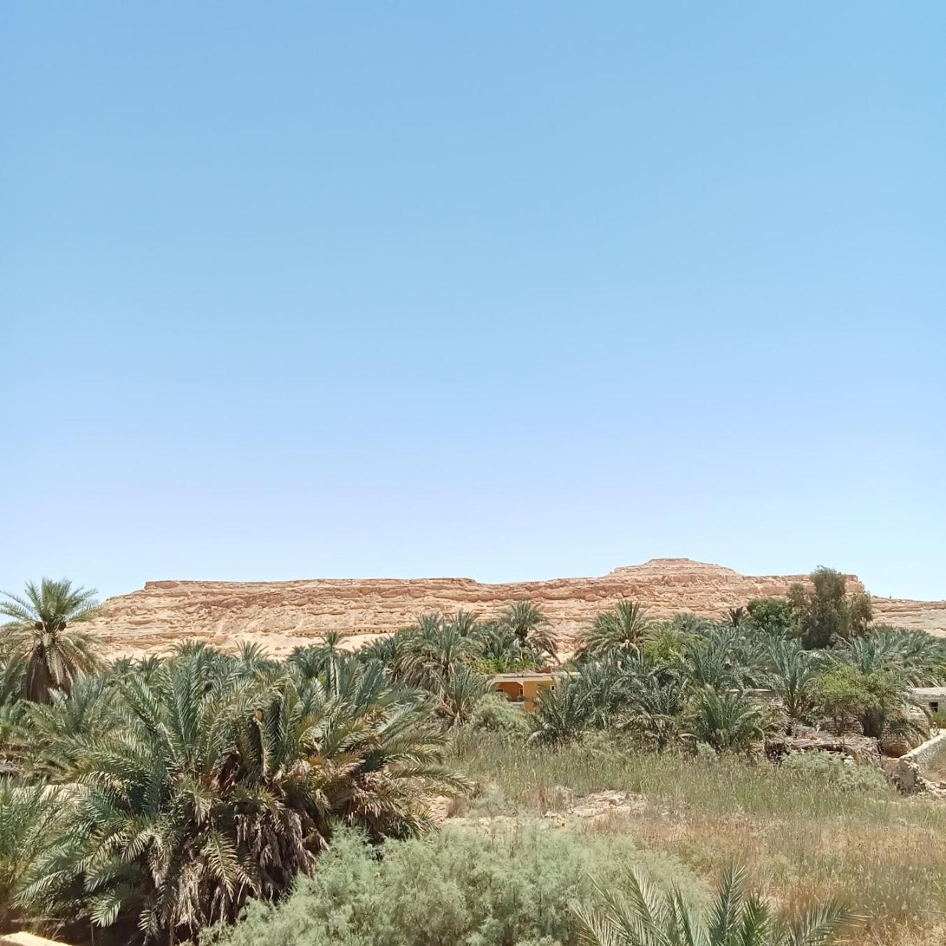 Tanirt Ecolodge Siwa Oasis Exterior photo